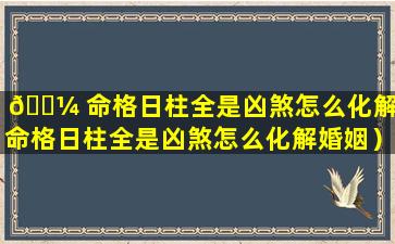🐼 命格日柱全是凶煞怎么化解（命格日柱全是凶煞怎么化解婚姻）